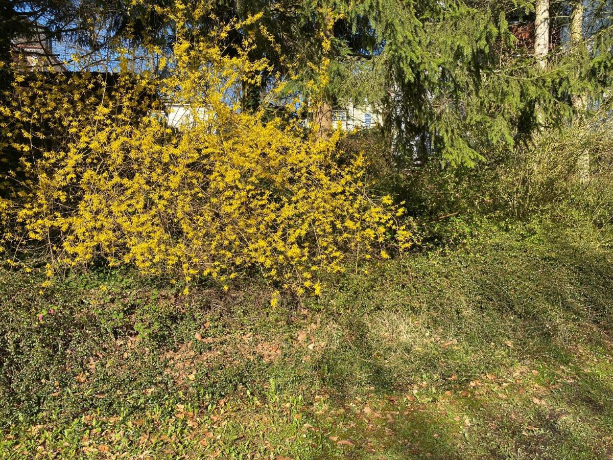 Ferienwohnung Sternenhimmel Lichtenberg  Dış mekan fotoğraf